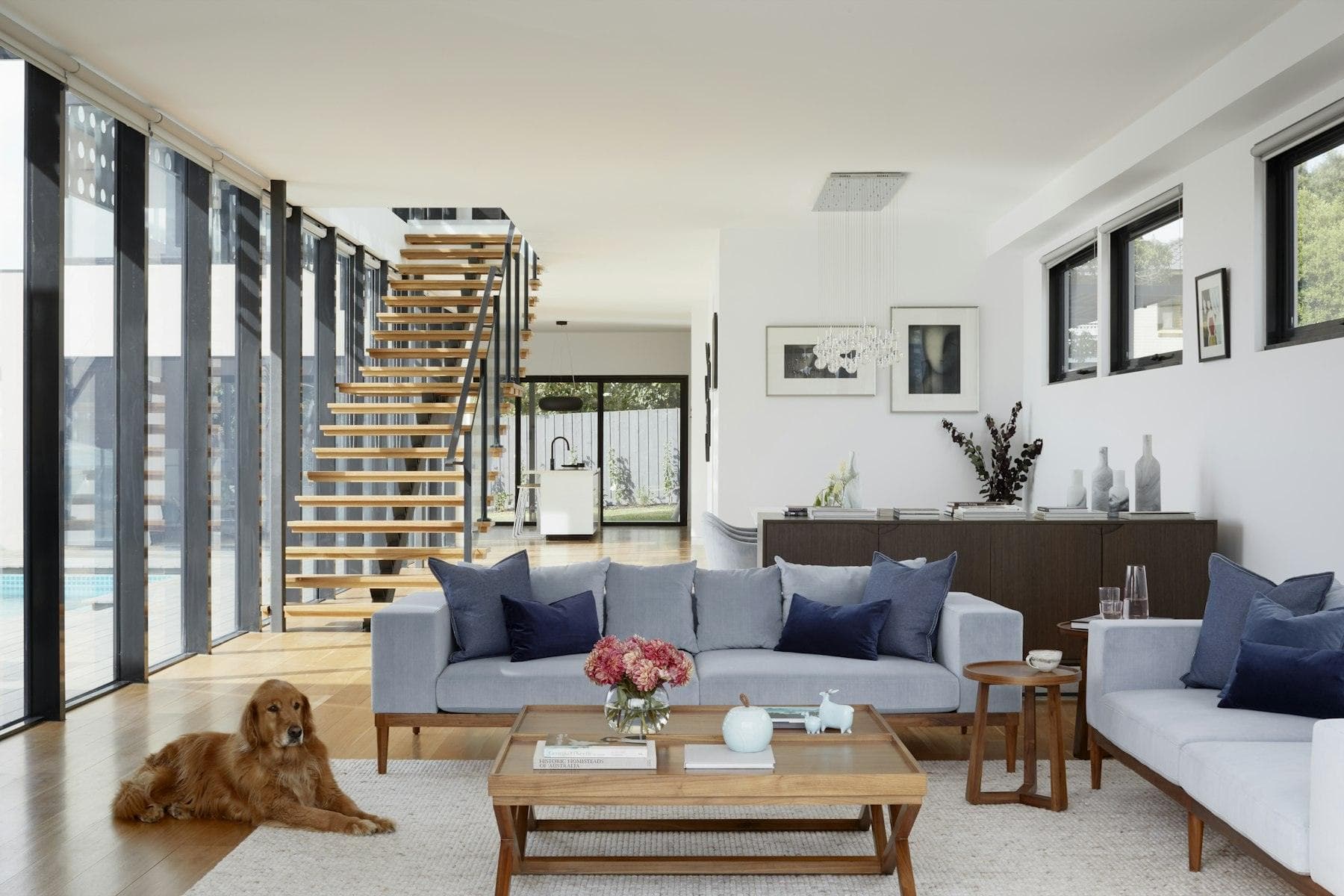 Finished living room with sofas and a dog resting on the rug